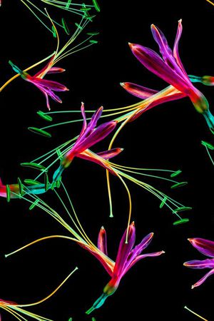 大花印花华亿平台图片