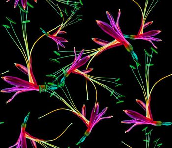 大花印花华亿平台图片