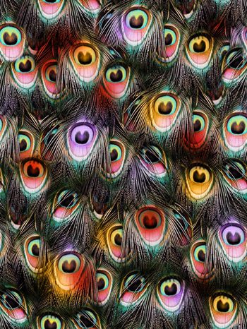 彩色潮流羽毛印花华亿平台图片