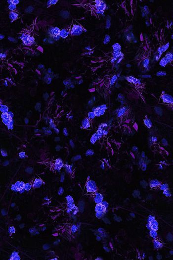 722603-FLZ-10-50....