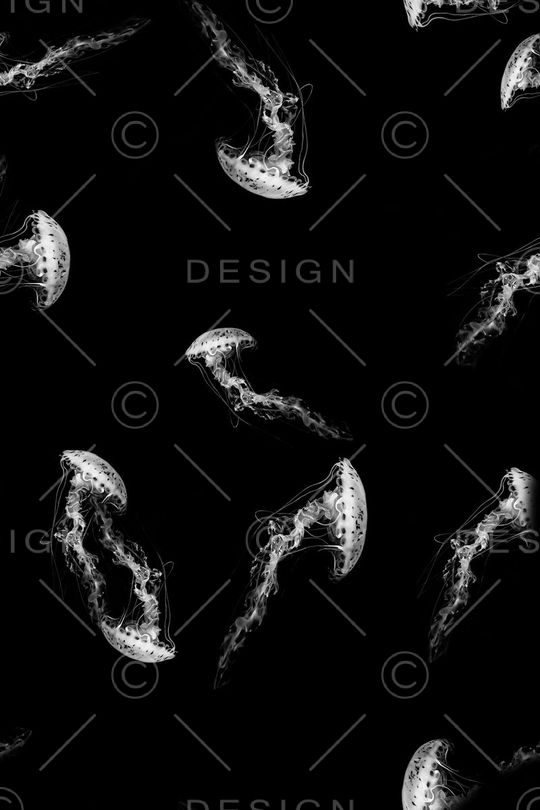 水母印花华亿平台图片