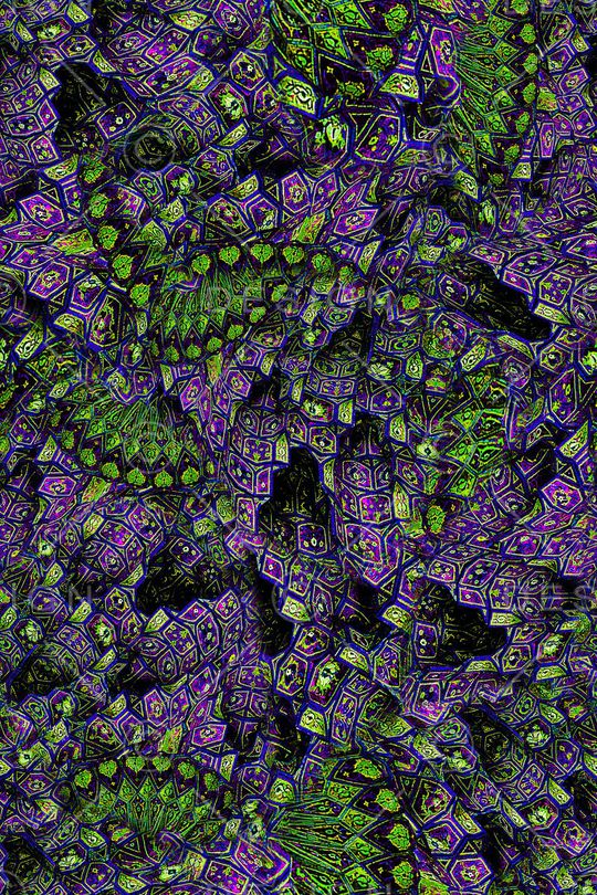 肌理印花华亿平台图片