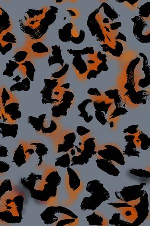 欧美风格印花华亿平台图片