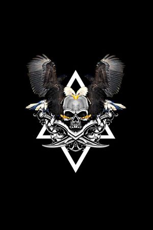 老鹰印花华亿平台图片