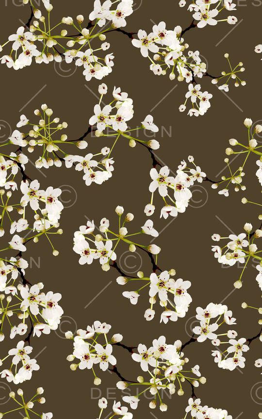 白花印花华亿平台图片