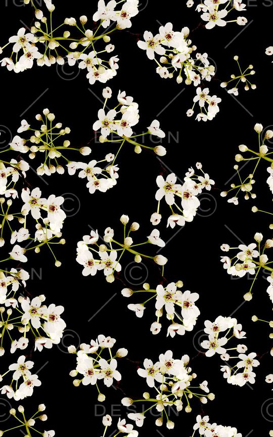 白花印花华亿平台图片