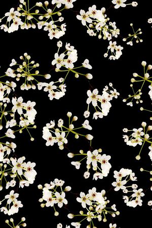 白花印花华亿平台图片