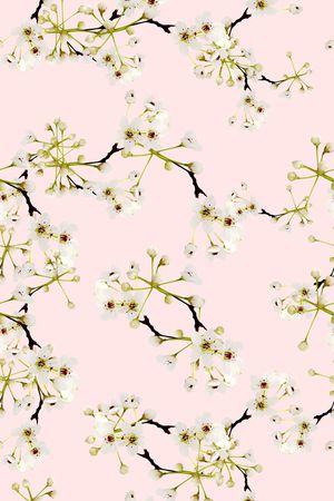 白花印花华亿平台图片