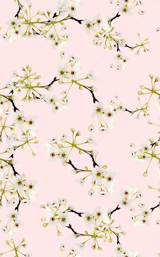 白花印花华亿平台图片