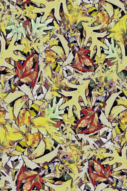 树叶印花华亿平台图片