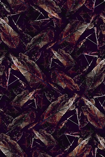 树叶印花华亿平台图片