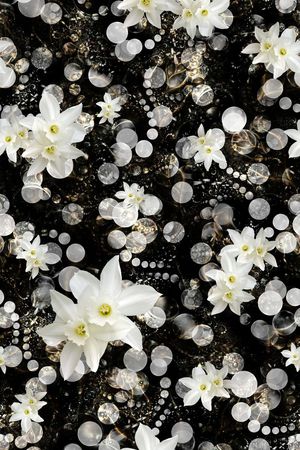 白花印花华亿平台图片