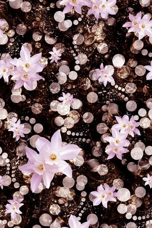 白花印花华亿平台图片