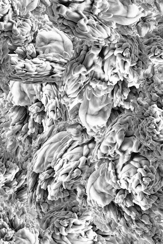 肌理印花华亿平台图片