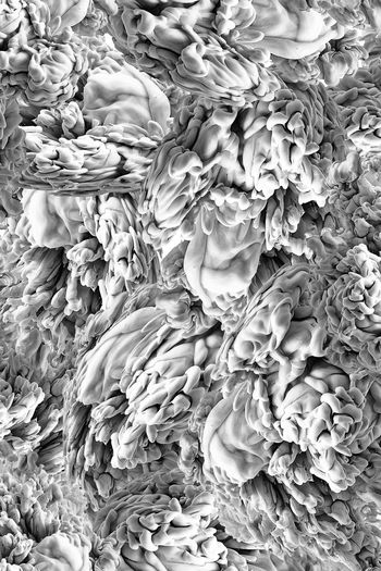 723161-FLZ-10-60....