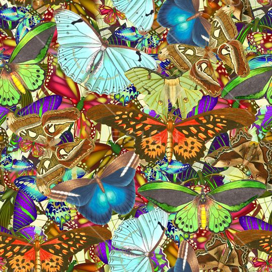 昆虫印花华亿平台图片