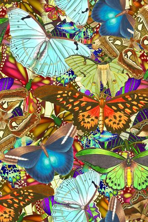 昆虫印花华亿平台图片