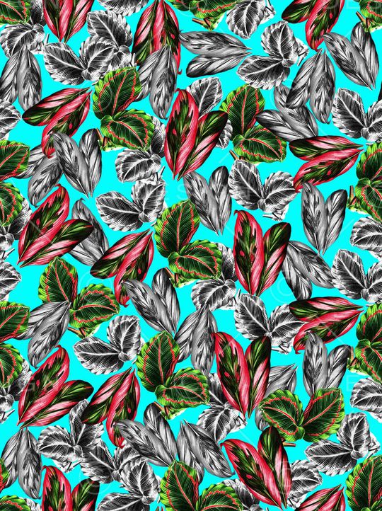 植物印花华亿平台图片