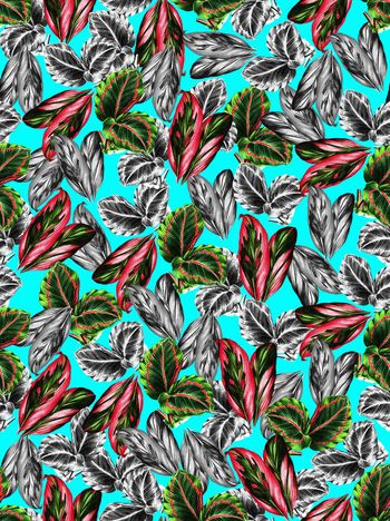 植物印花华亿平台图片