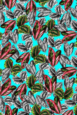 植物印花华亿平台图片