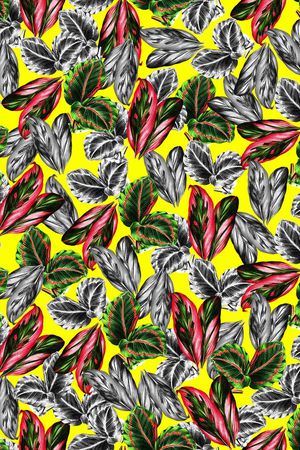 植物印花华亿平台图片