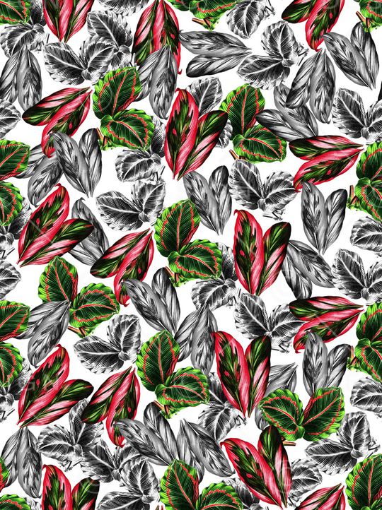 植物印花华亿平台图片