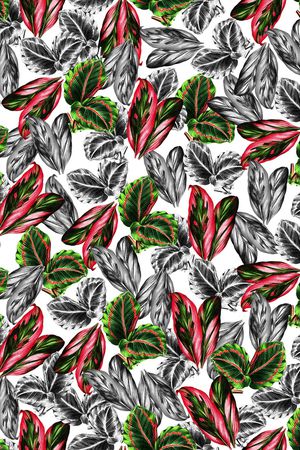 植物印花华亿平台图片