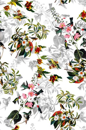 723273-2016-10-12水彩植物花鸟1