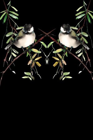 花鸟印花华亿平台图片