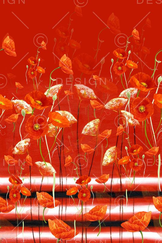 女装印花华亿平台图片