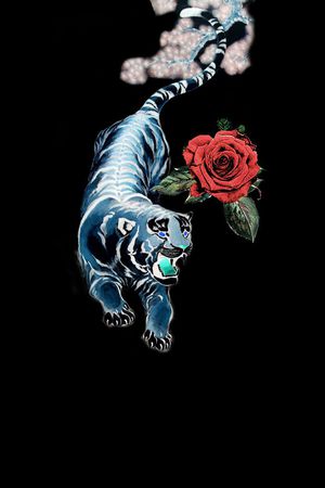 男装T桖胸花印花华亿平台图片