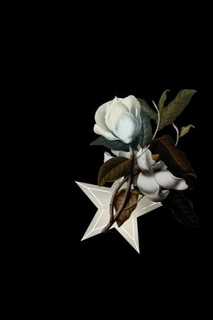 大牌风印花华亿平台图片