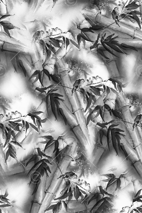 竹子印花华亿平台图片