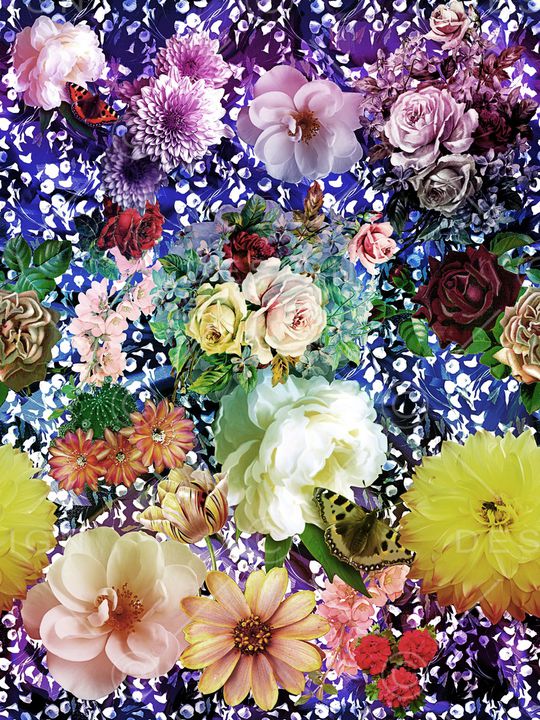 杜嘉班纳印花华亿平台图片