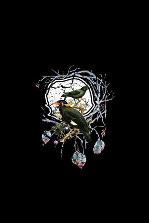 鸟印花华亿平台图片