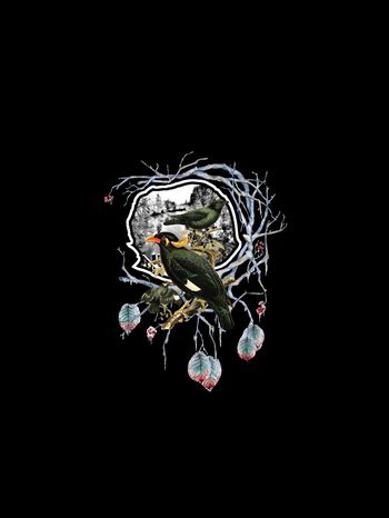 鸟印花华亿平台图片