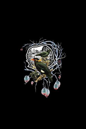 鸟印花华亿平台图片