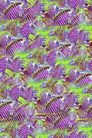 斑马纹印花华亿平台图片