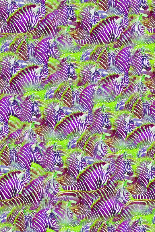 斑马纹印花华亿平台图片