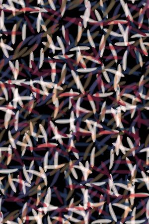 潮流时尚印花华亿平台图片