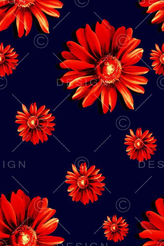 大花印花华亿平台图片