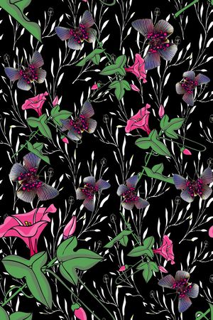 蝴蝶印花华亿平台图片