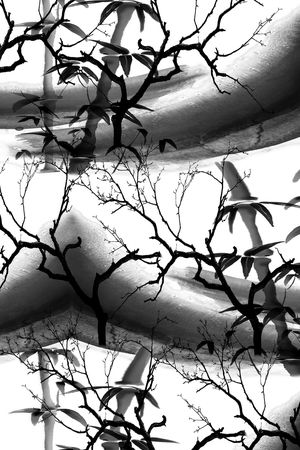 中国风印花华亿平台图片