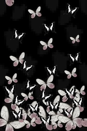 昆虫印花华亿平台图片