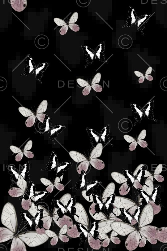 昆虫印花华亿平台图片