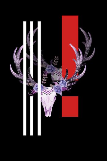 骷髅印花华亿平台图片