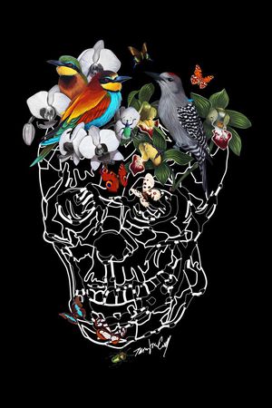 小鸟印花华亿平台图片