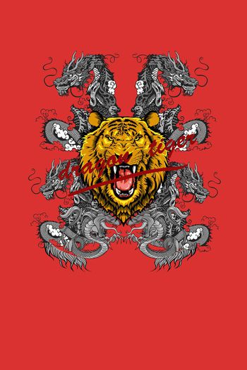 龙印花华亿平台图片