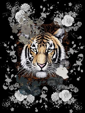 虎头印花华亿平台图片