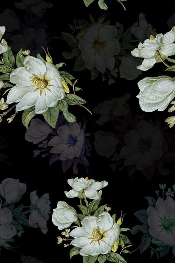 724576-1017油画牡丹01